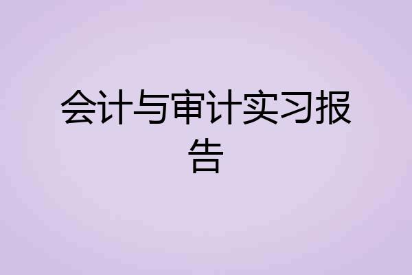 会计与审计实习报告