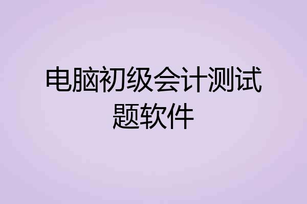 电脑初级会计测试题软件