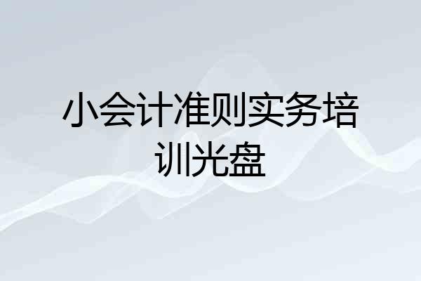 小会计准则实务培训光盘