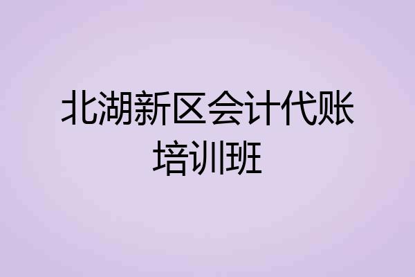 北湖新区会计代账培训班