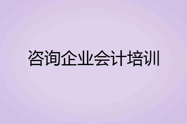 咨询企业会计培训