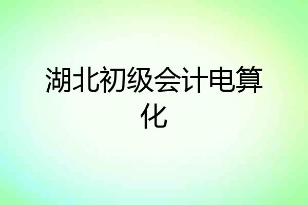 湖北初级会计电算化