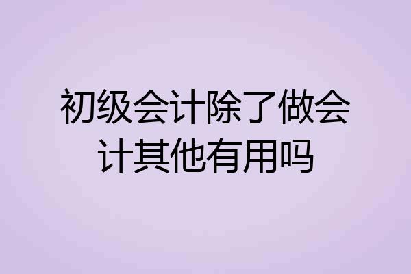 初级会计除了做会计其他有用吗