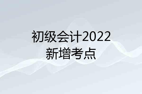 初级会计2022新增考点