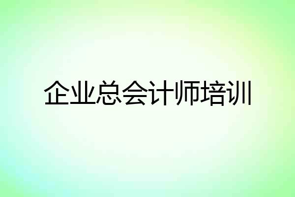企业总会计师培训