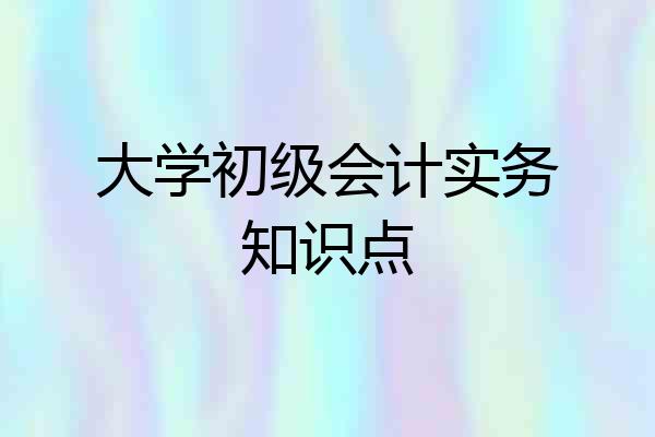 大学初级会计实务知识点