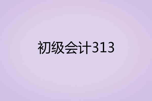 初级会计313