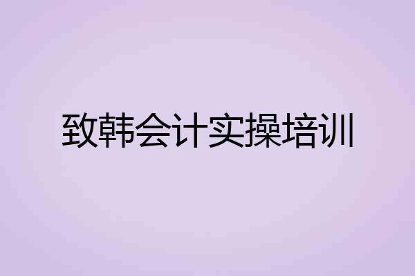 致韩会计实操培训