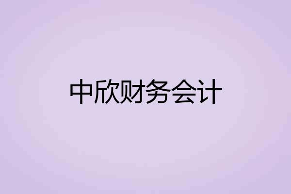 中欣财务会计