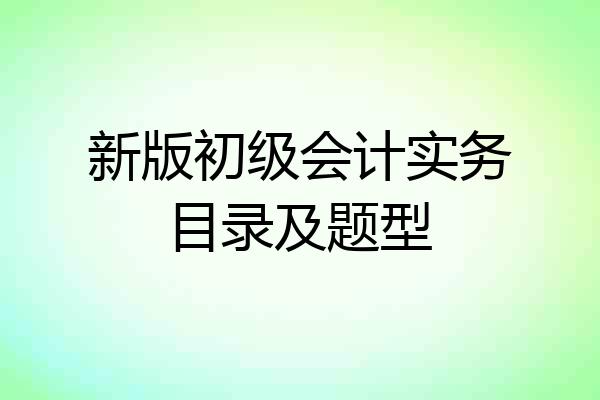 新版初级会计实务目录及题型