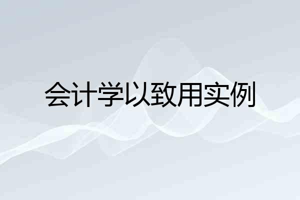 会计学以致用实例