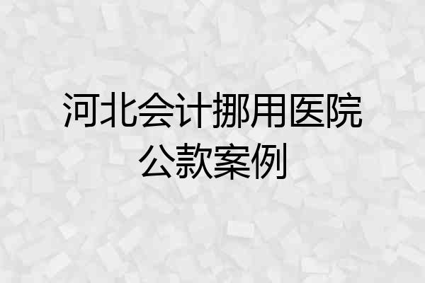 河北会计挪用医院公款案例