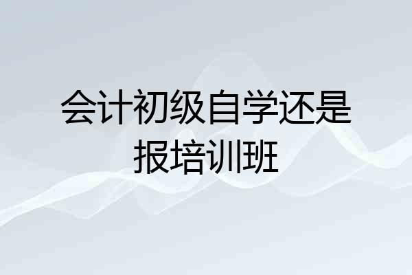 会计初级自学还是报培训班