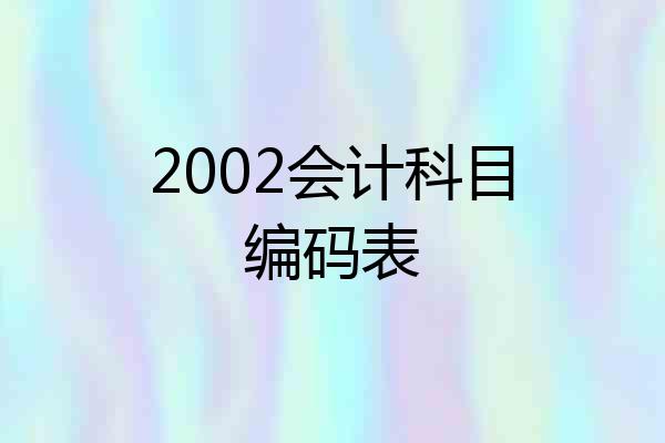 2002会计科目编码表