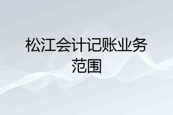 松江会计记账业务范围