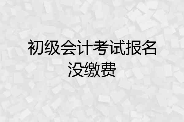 初级会计考试报名没缴费