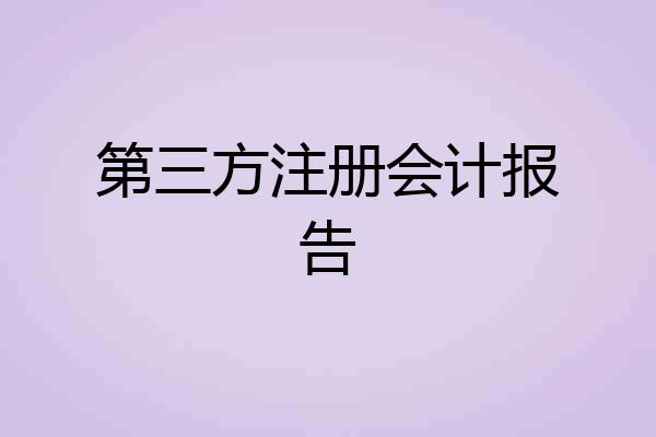 第三方注册会计报告