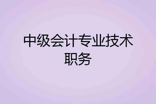 中级会计专业技术职务