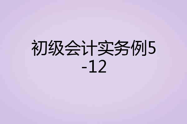 初级会计实务例5-12