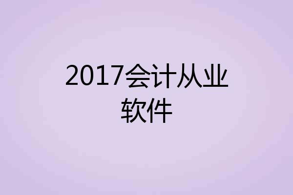 2017会计从业软件
