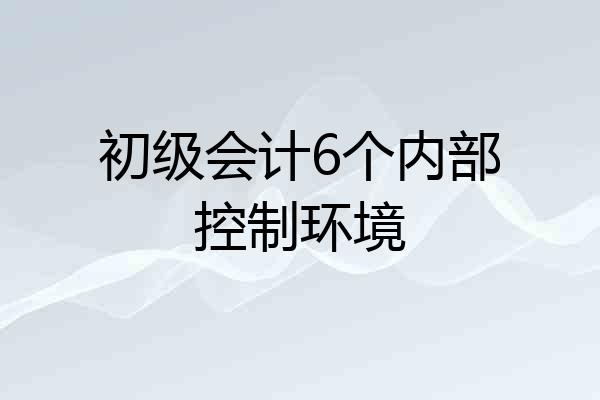 初级会计6个内部控制环境