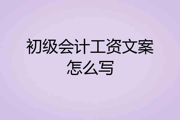 初级会计工资文案怎么写