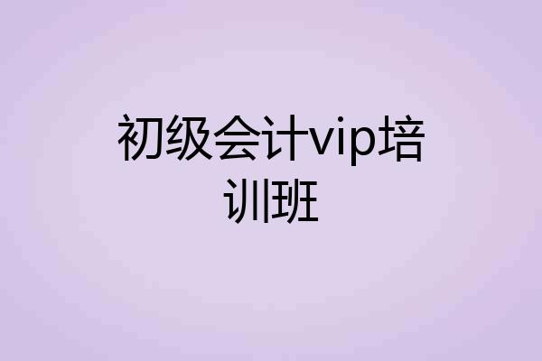 初级会计vip培训班