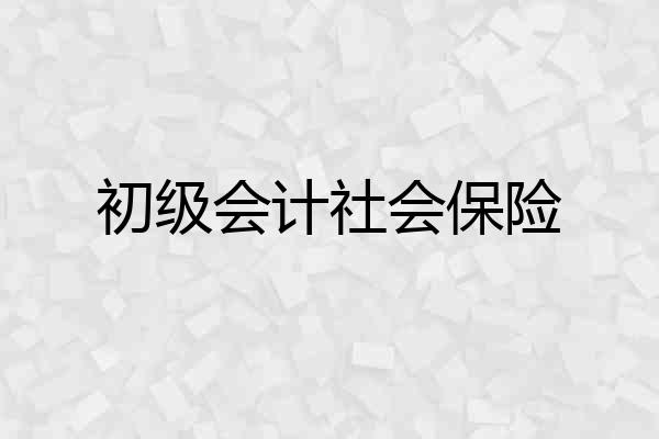 初级会计社会保险