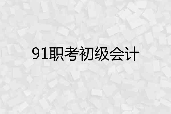 91职考初级会计