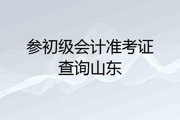 参初级会计准考证查询山东