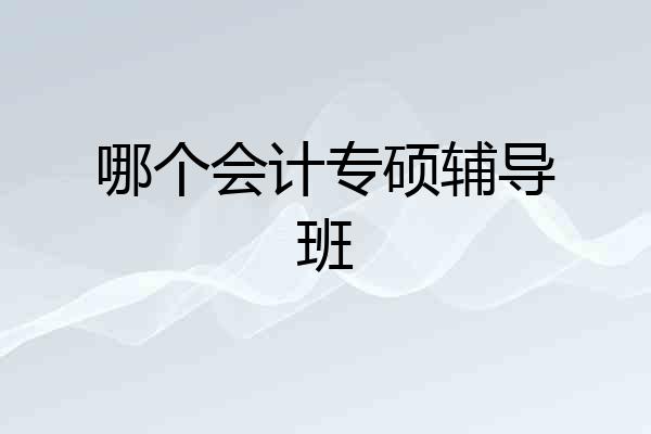 哪个会计专硕辅导班