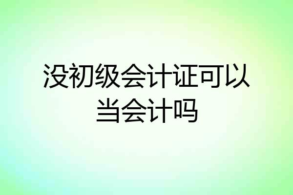没初级会计证可以当会计吗