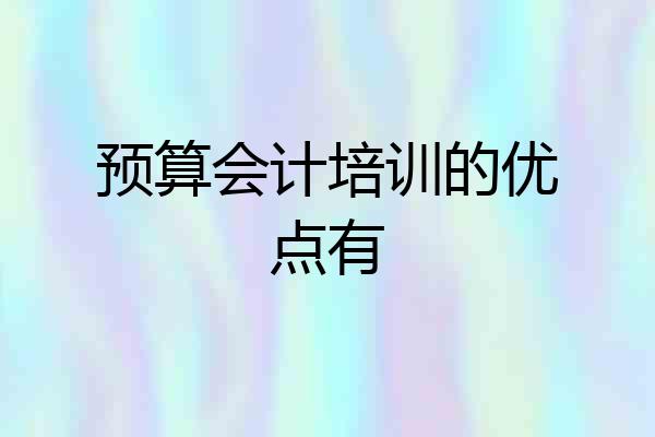 预算会计培训的优点有