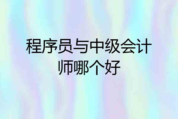程序员与中级会计师哪个好