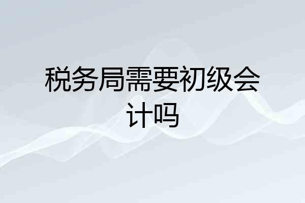 税务局需要初级会计吗