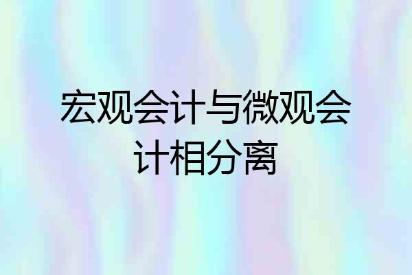 宏观会计与微观会计相分离