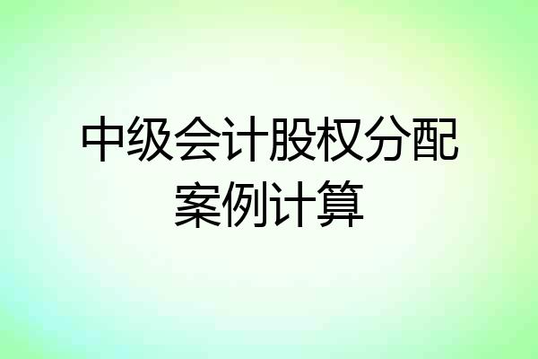 中级会计股权分配案例计算