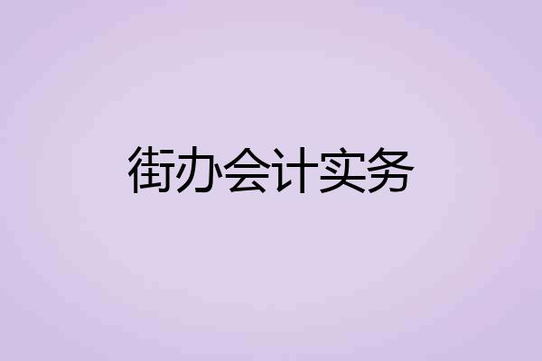 街办会计实务