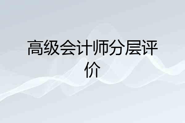 高级会计师分层评价