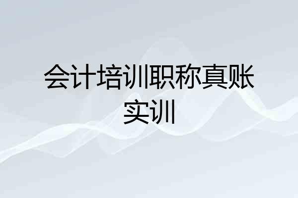 会计培训职称真账实训