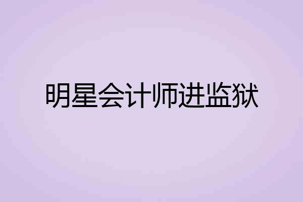 明星会计师进监狱