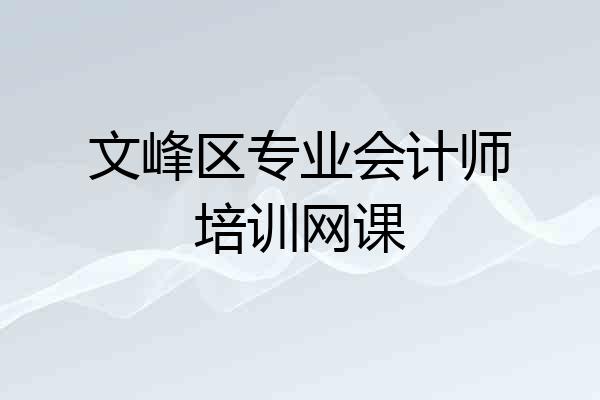 文峰区专业会计师培训网课