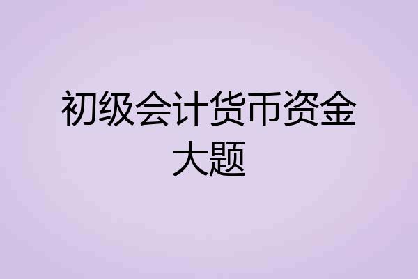 初级会计货币资金大题