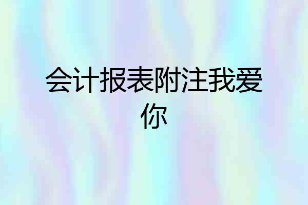 会计报表附注我爱你