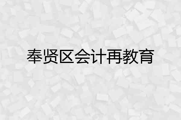 奉贤区会计再教育