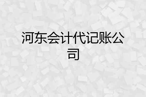 河东会计代记账公司