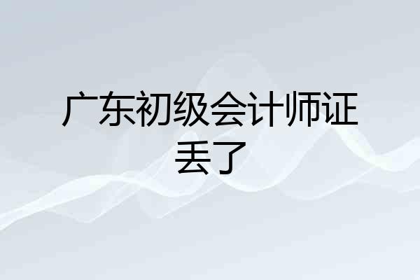 广东初级会计师证丢了