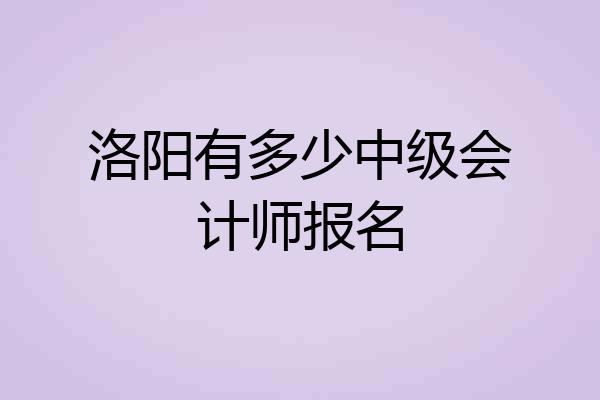 洛阳有多少中级会计师报名