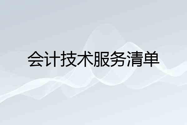 会计技术服务清单