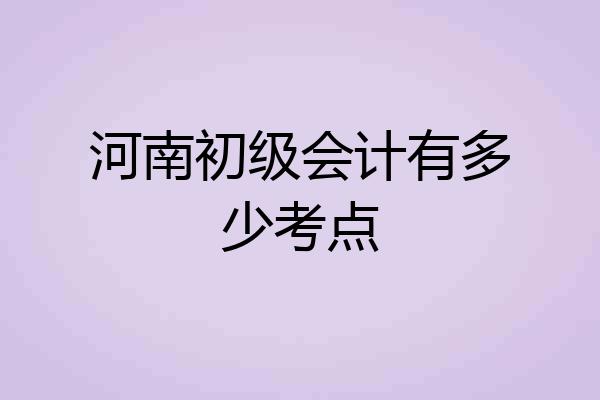 河南初级会计有多少考点